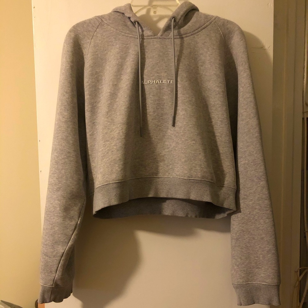Alphalete crop hoodie